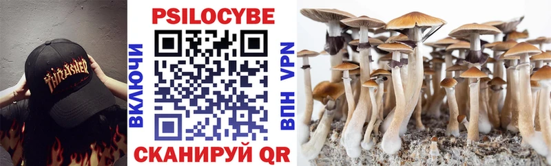 Псилоцибиновые грибы мухоморы Шатура