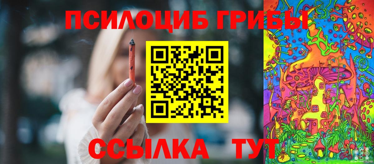 Псилоцибиновые грибы Cubensis Шатура